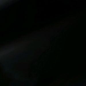 Meet your Posher, Brady